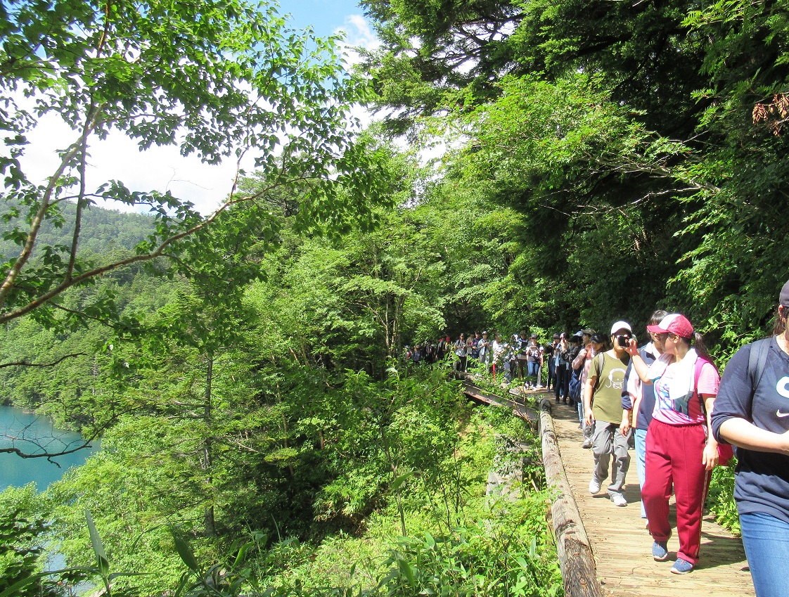 志賀高原⑦　マイナスイオンの効果！！ ～四十八池へ等のハイキング～